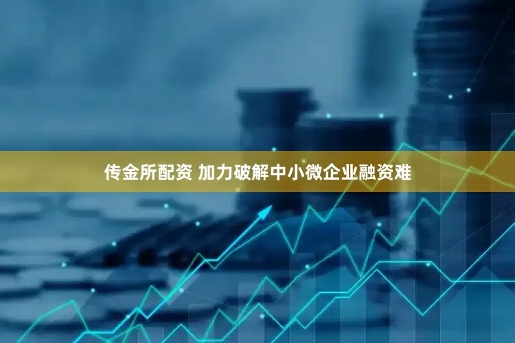 传金所配资 加力破解中小微企业融资难