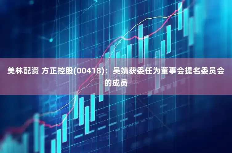 美林配资 方正控股(00418)：吴婧获委任为董事会提名委员会的成员