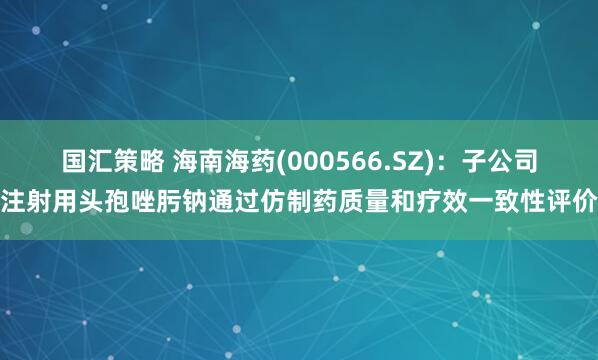 国汇策略 海南海药(000566.SZ)：子公司注射用头孢唑肟钠通过仿制药质量和疗效一致性评价