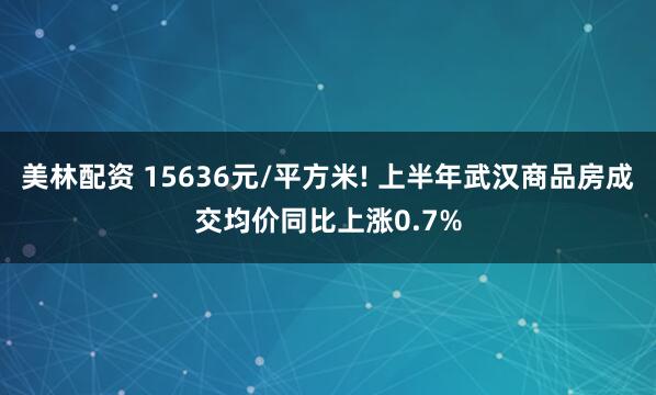 美林配资 15636元/平方米! 上半年武汉商品房成交均价同比上涨0.7%