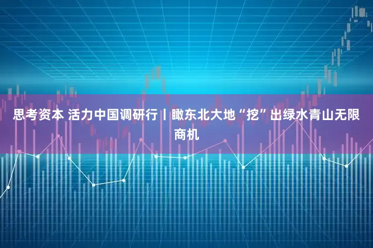 思考资本 活力中国调研行丨瞰东北大地“挖”出绿水青山无限商机