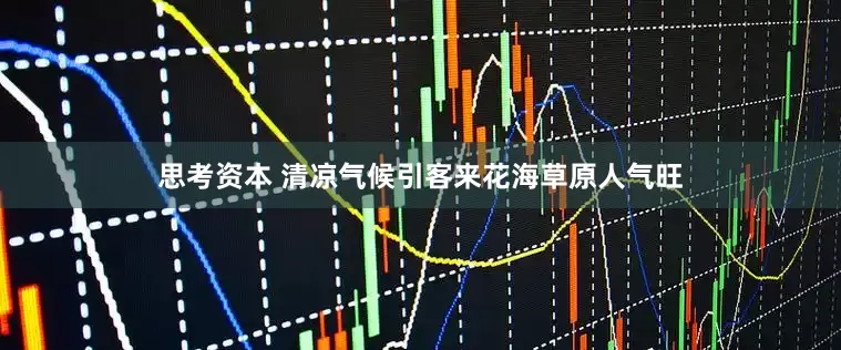 思考资本 清凉气候引客来花海草原人气旺