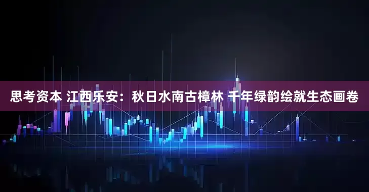 思考资本 江西乐安：秋日水南古樟林 千年绿韵绘就生态画卷