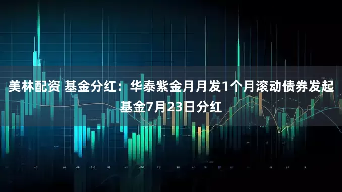 美林配资 基金分红:华泰紫金月月发1个月滚动债券发起基金7月23日分红