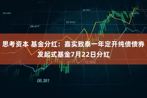 思考资本 基金分红:嘉实致泰一年定开纯债债券发起式基金7月22日分红