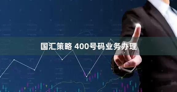 国汇策略 400号码业务办理