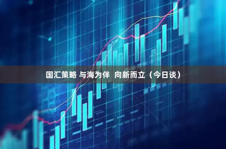国汇策略 与海为伴  向新而立（今日谈）