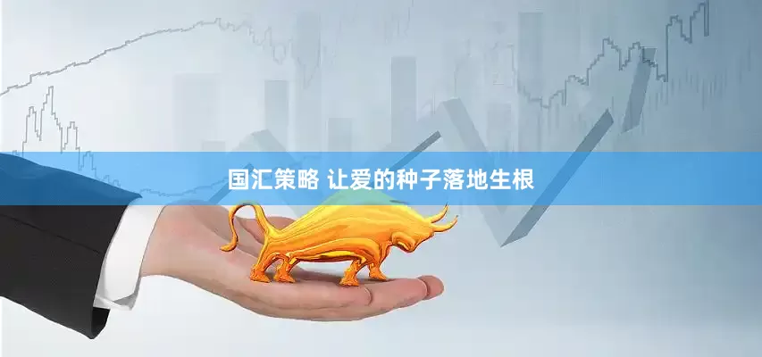 国汇策略 让爱的种子落地生根